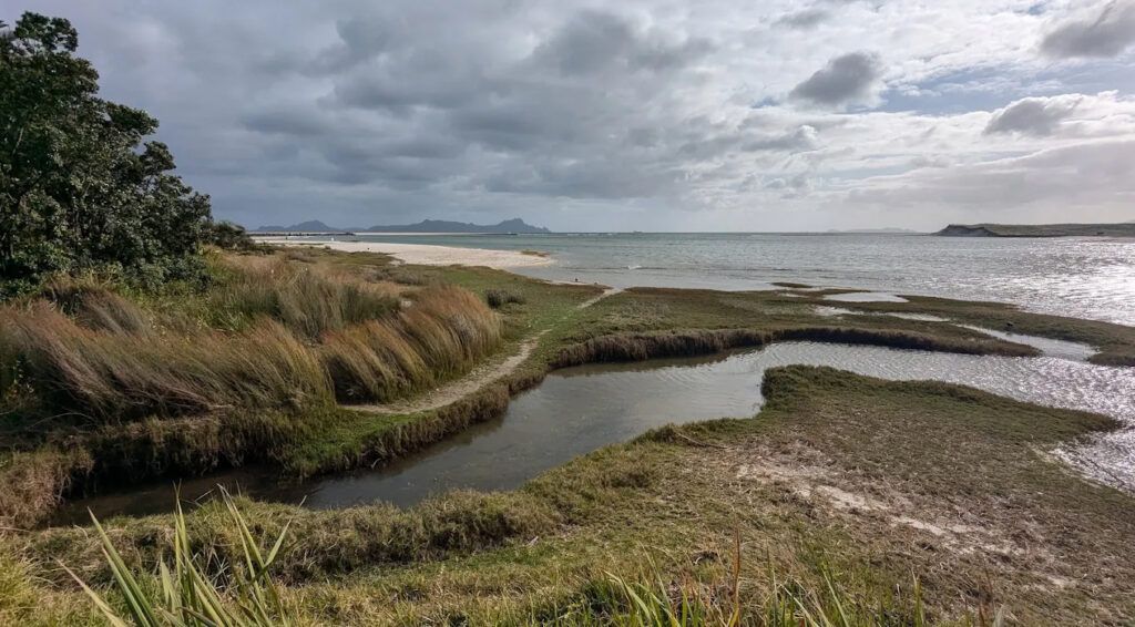 waipu river mouth estuary meets ocean northland