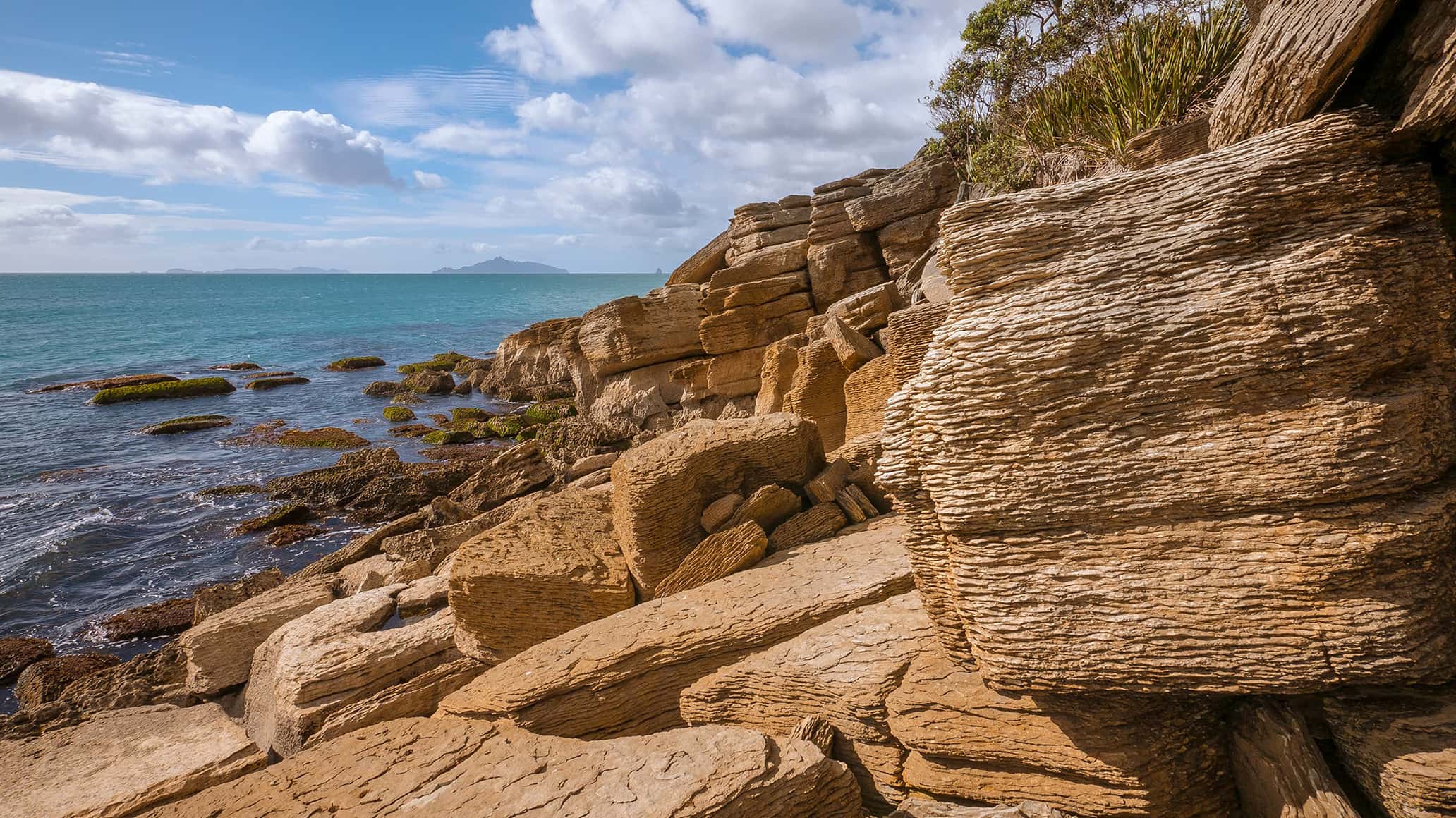 waipu cove pancake rocks coastal rock formations northland