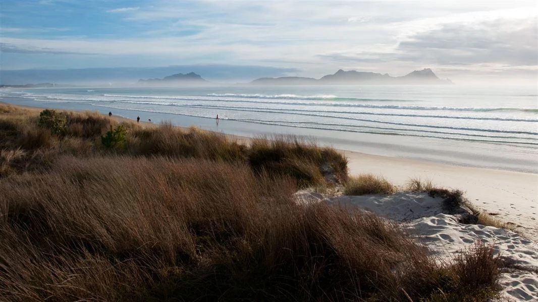 waipu beach northland sandy coastline ocean