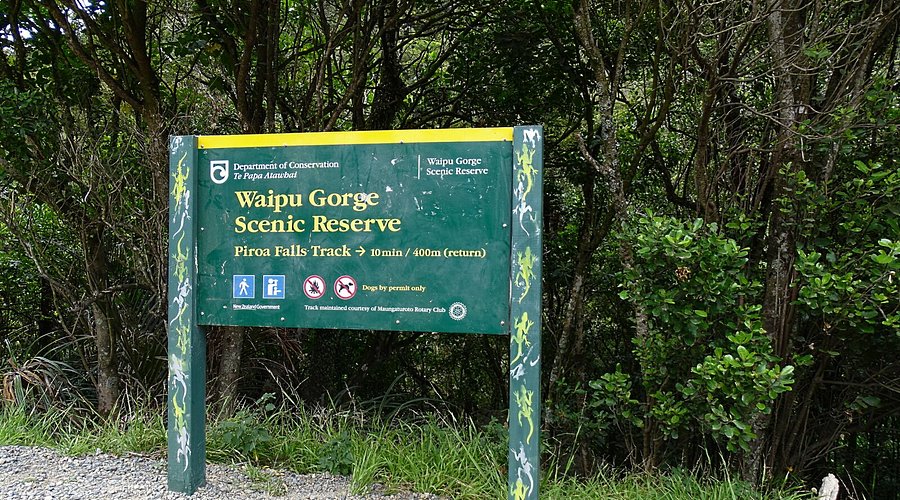 informational sign board for Waipu Scenic Groge