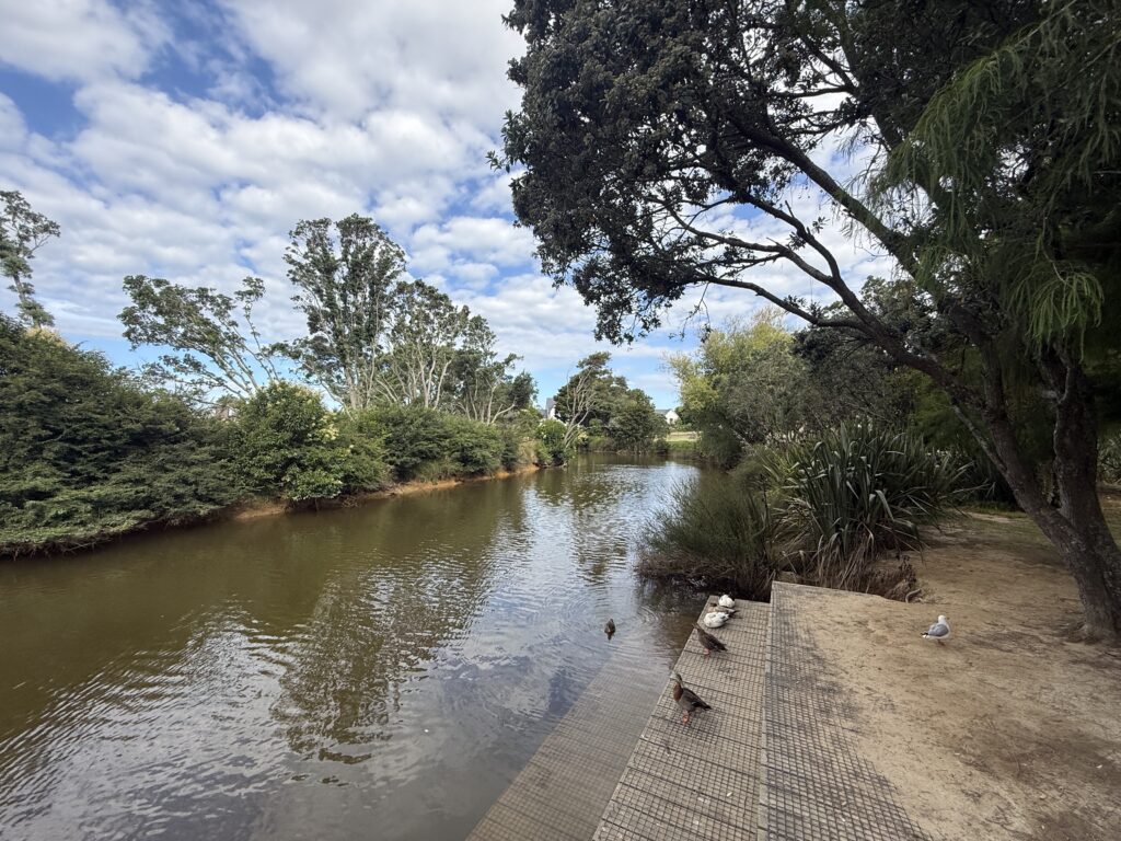 waipu river northland waterway estuary landscape