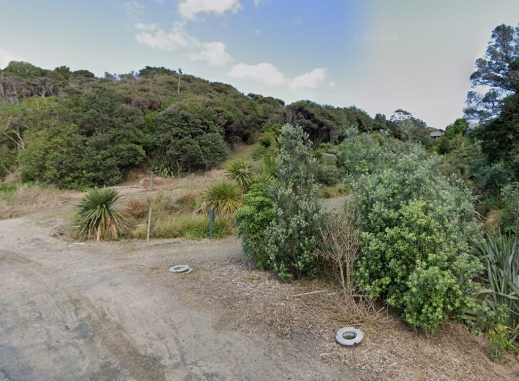 langs beach scenic reserve northland coastal bush walkway