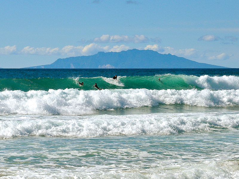 angawhai surf beach waves northland surfing