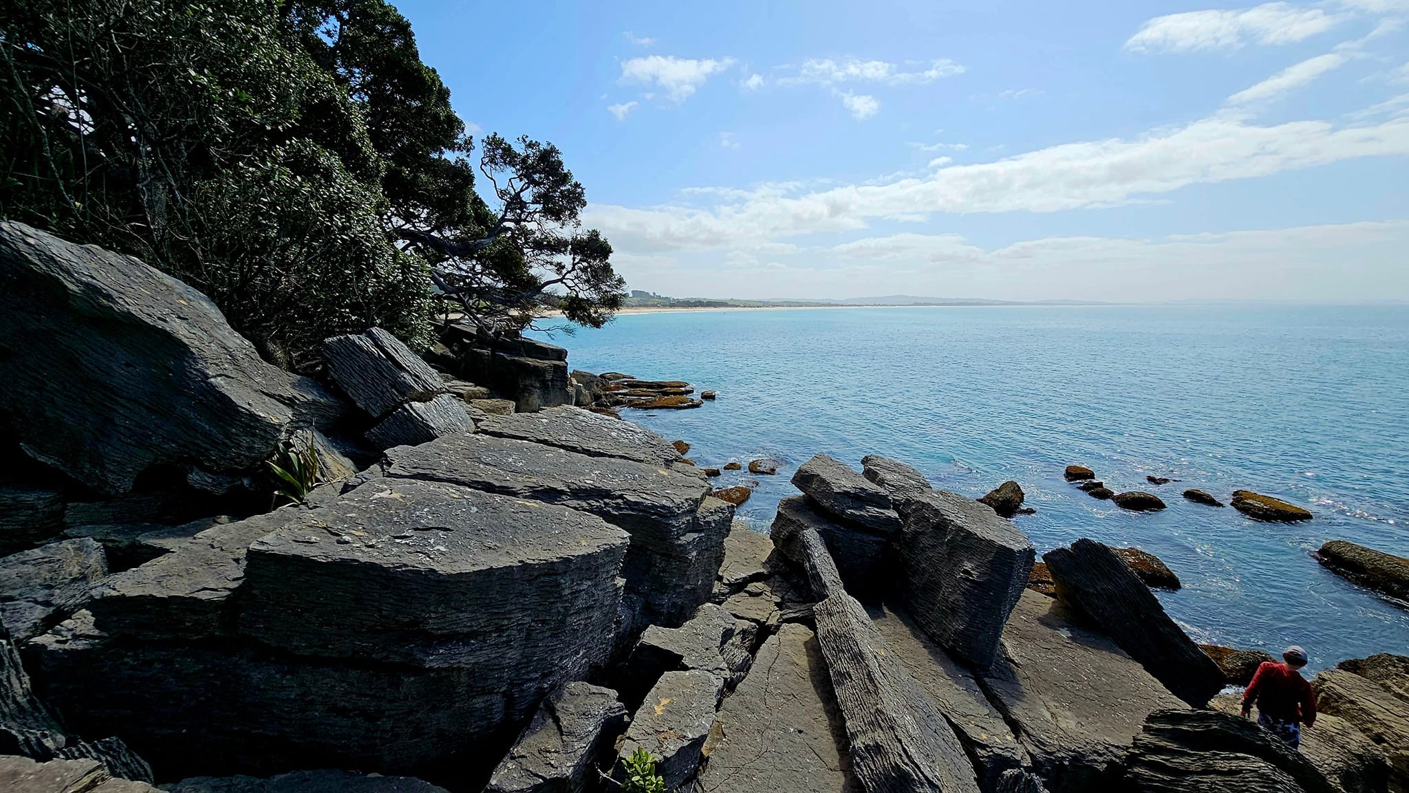 waipu coastal walkway northland coastal track ocean views