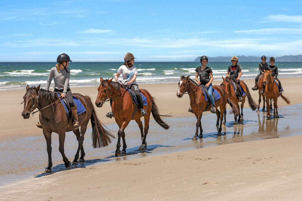 fiveo horses and riders on Waipu Beach